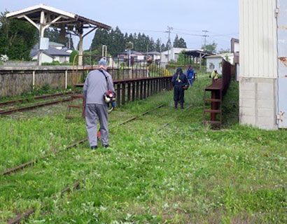 会員による記念館周囲の草刈り活動