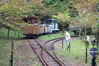 木々の間に消えて行く列車
公園の外周約400ｍを走ります